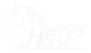 Harry's Horse