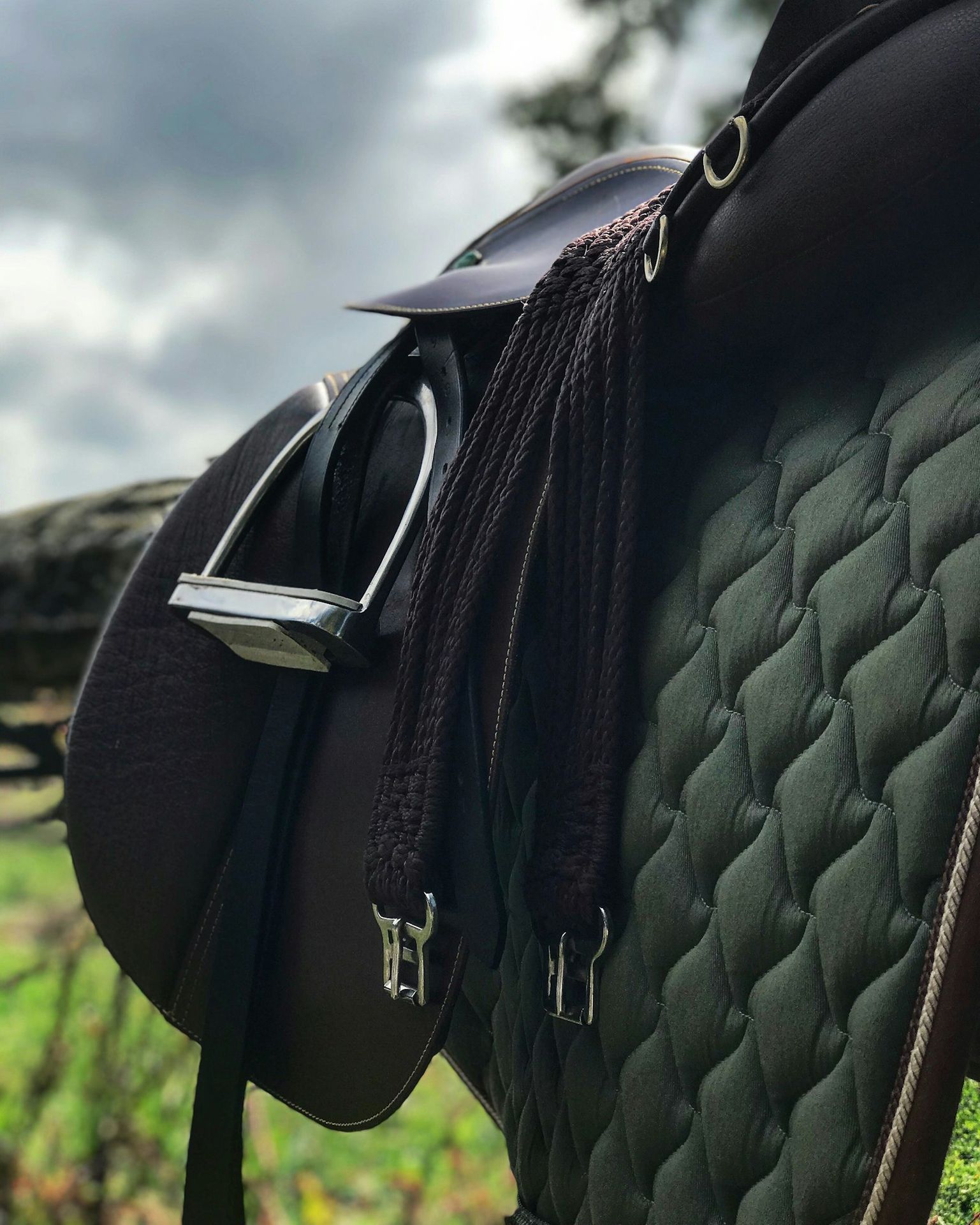 Sellerie & Équipement