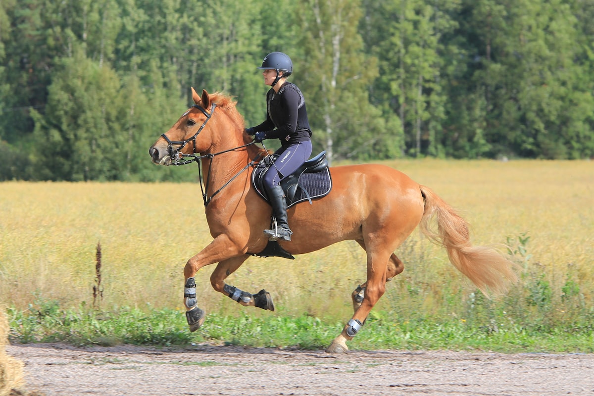 Cavalière à cheval en position d'équitation correcte — vêtements, casques, bottes, airbags