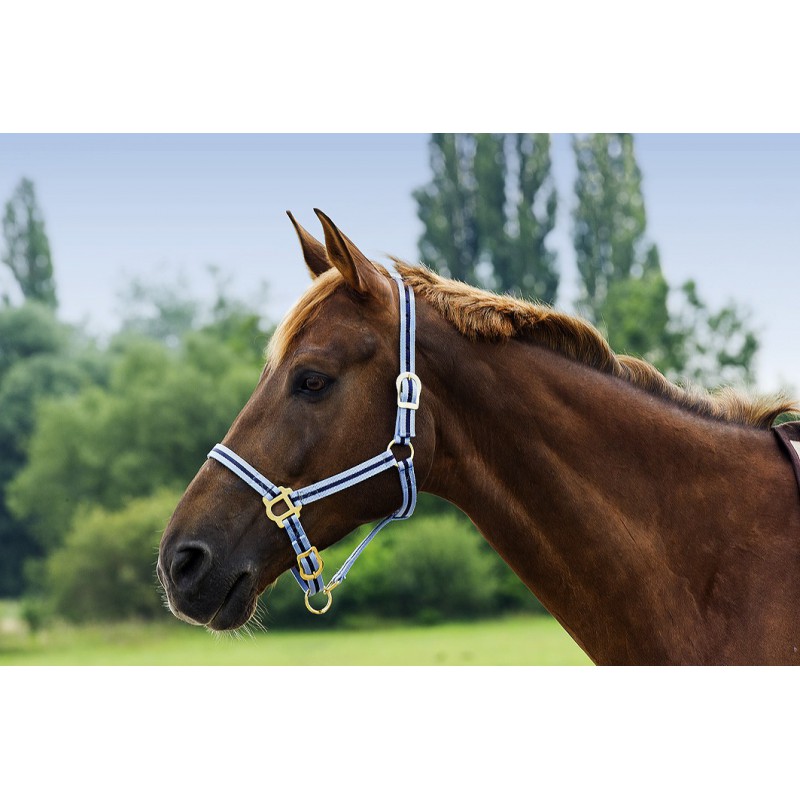 Licol nylon double épaisseur NORTON avec fermetures à boucles