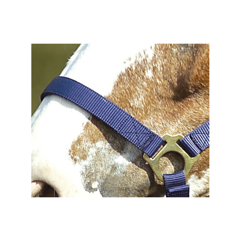 Licol nylon double épaisseur NORTON avec fermetures à boucles