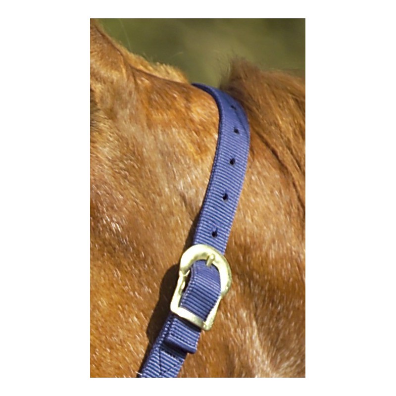 Licol nylon double épaisseur NORTON avec fermetures à boucles