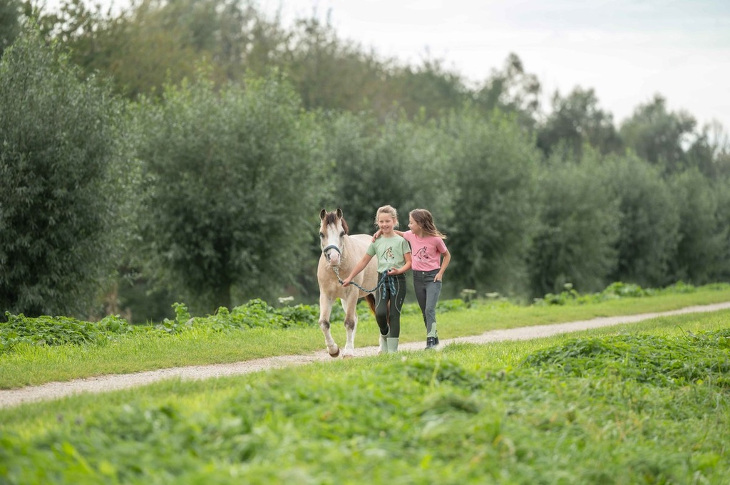 T-Shirt -Grace- - Rose (12)