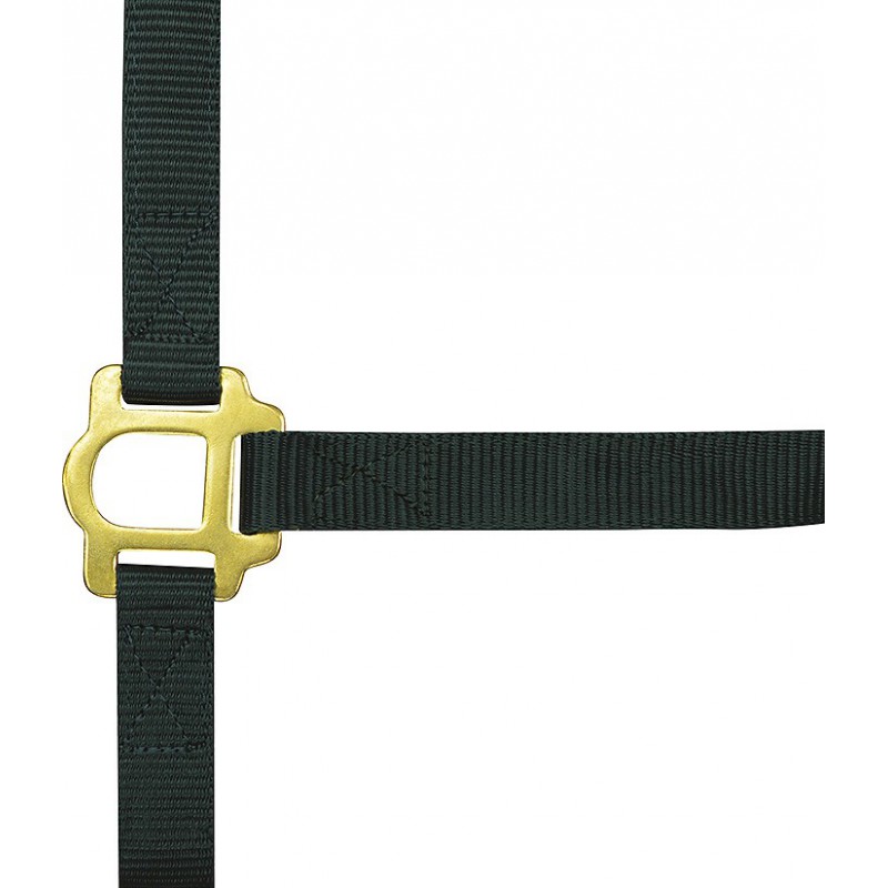 Licol nylon double épaisseur NORTON avec fermetures à boucles