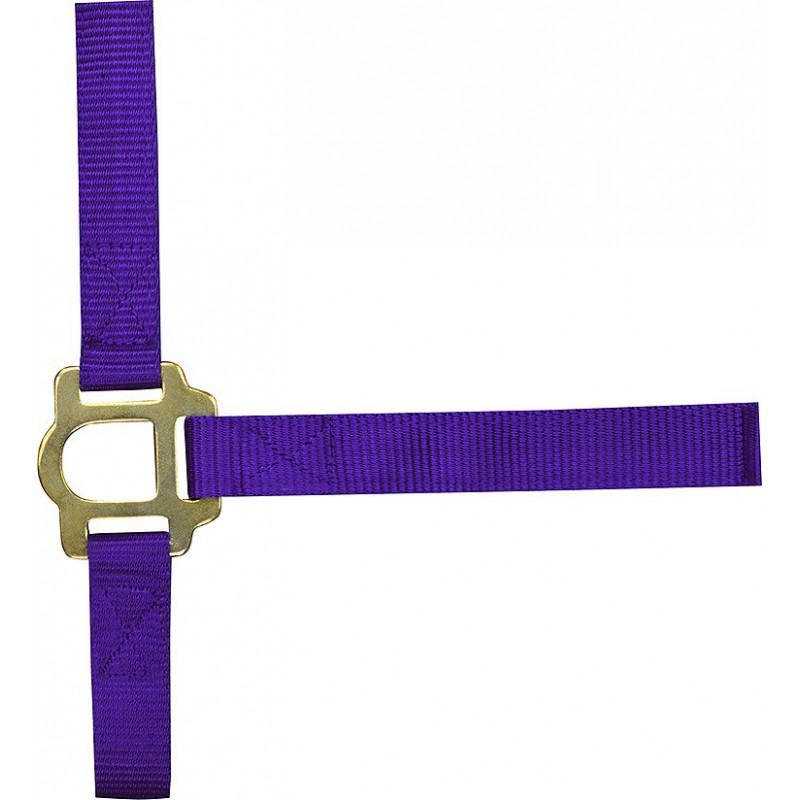 Licol nylon double épaisseur NORTON avec fermetures à boucles