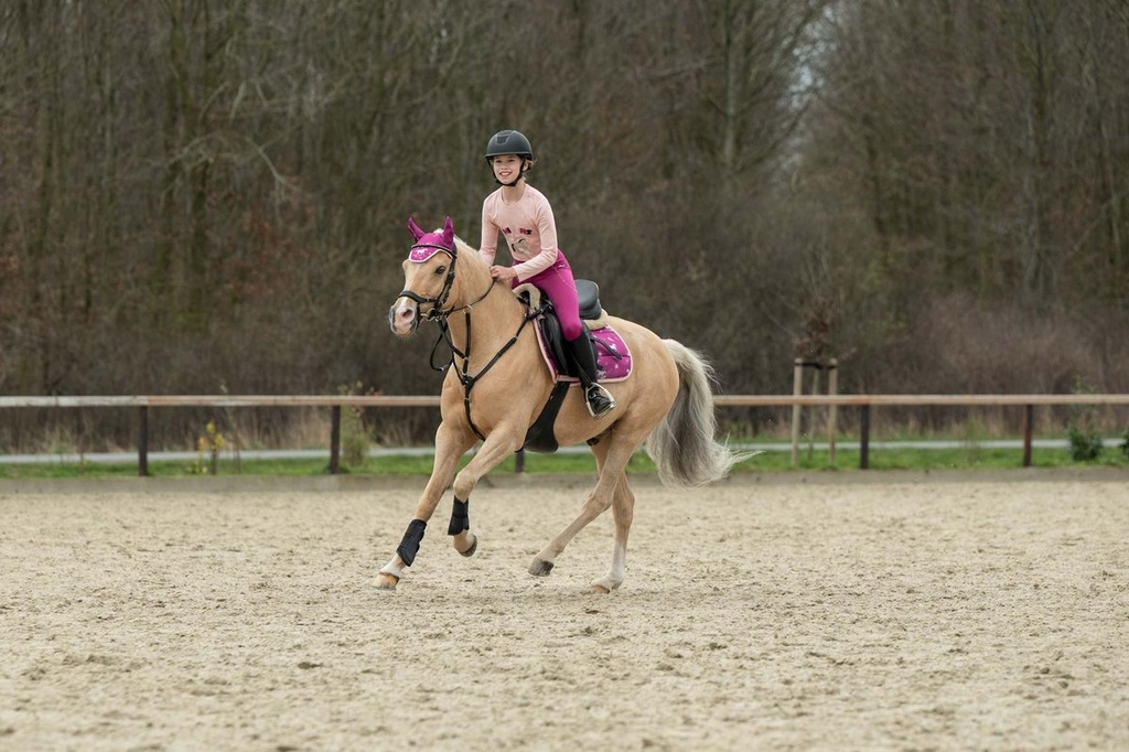 Polo à manches longues -Polly- - Rose (12)