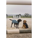 Couverture nylon DIEGO & LOUNA "Teddy"