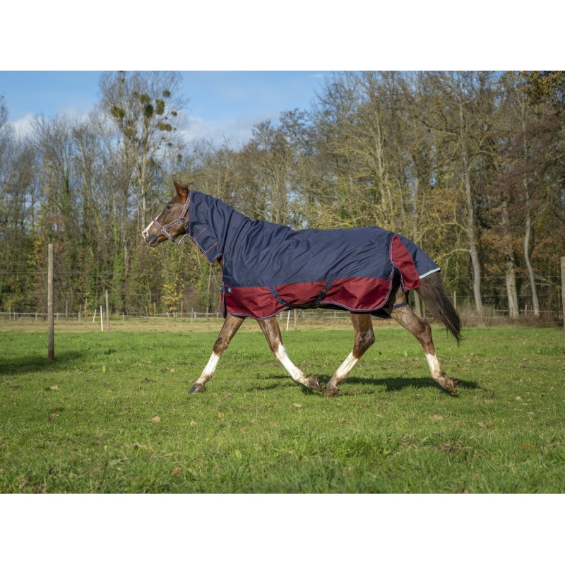 Couverture EQUITHÈME "TYREX 1200 D", 350g, Combo
