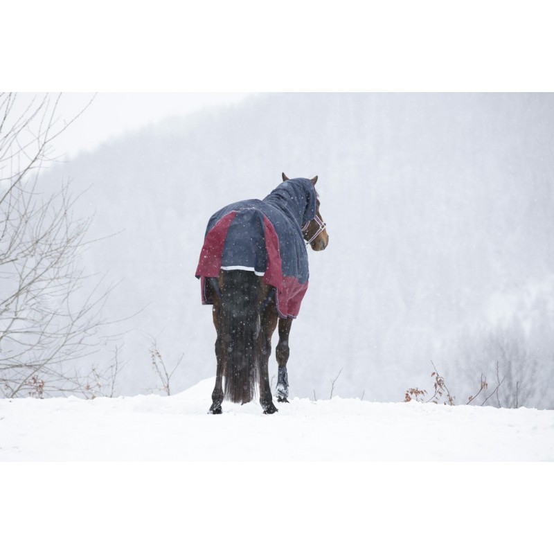 Couverture EQUITHÈME "TYREX 1200 D", 350g, Combo