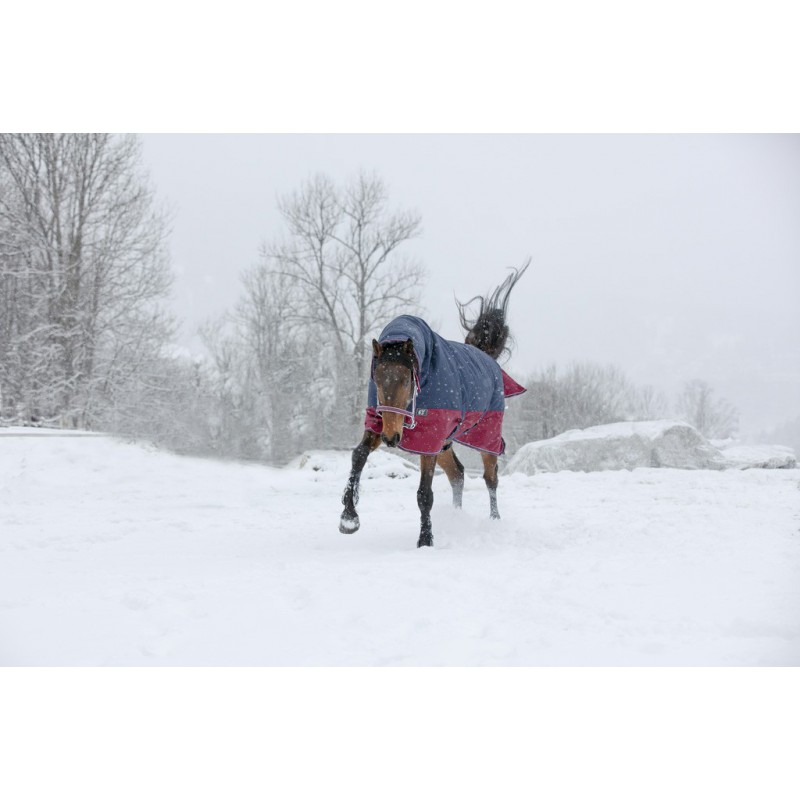 Couverture EQUITHÈME "TYREX 1200 D", 200g, Combo