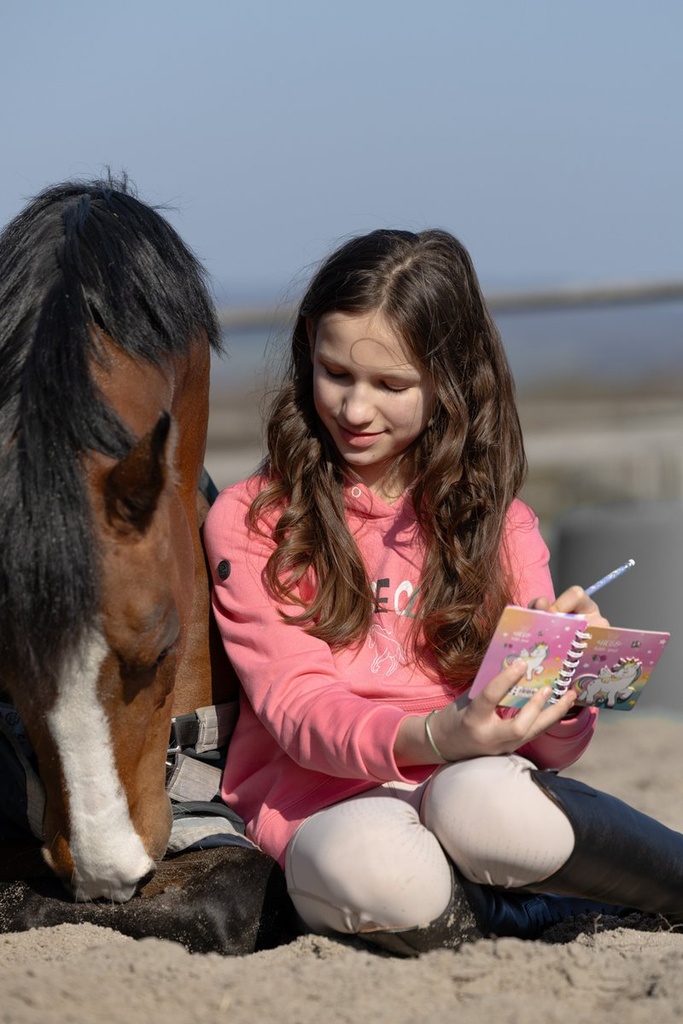 Hoody -Maui- - Rose (20)