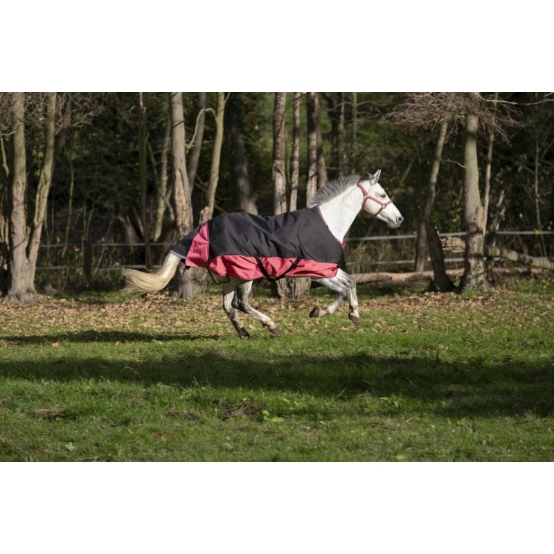 Couverture EQUITHÈME "TYREX 1200 D", 150g