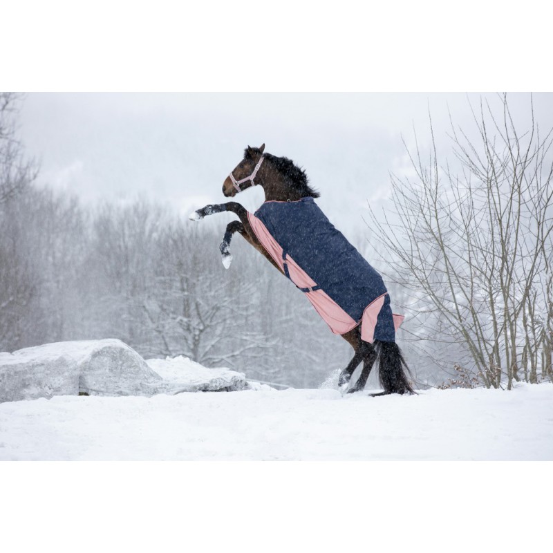 Couverture EQUITHÈME TYREX 600 D, 150g