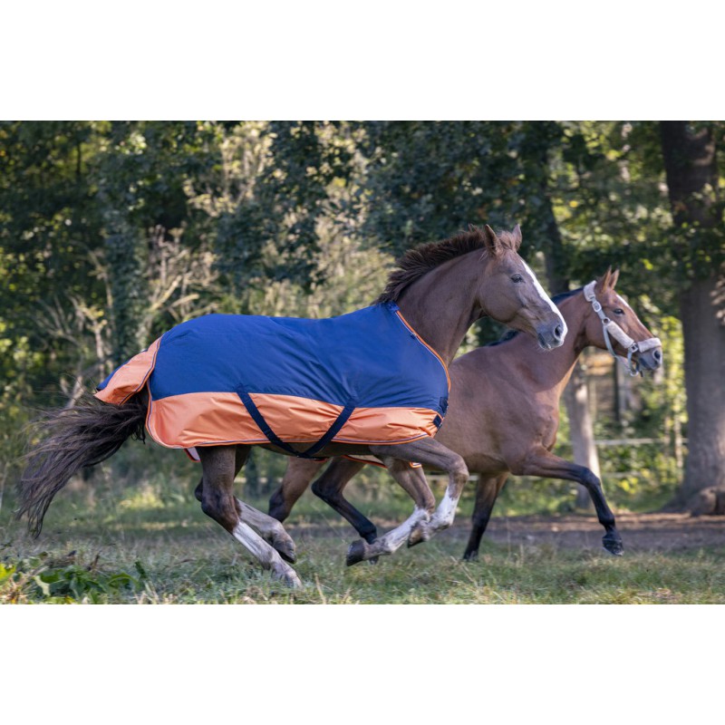 Couverture EQUITHÈME TYREX 600 D, 150g