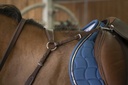 Collier de chasse NORTON PRO "Confort"