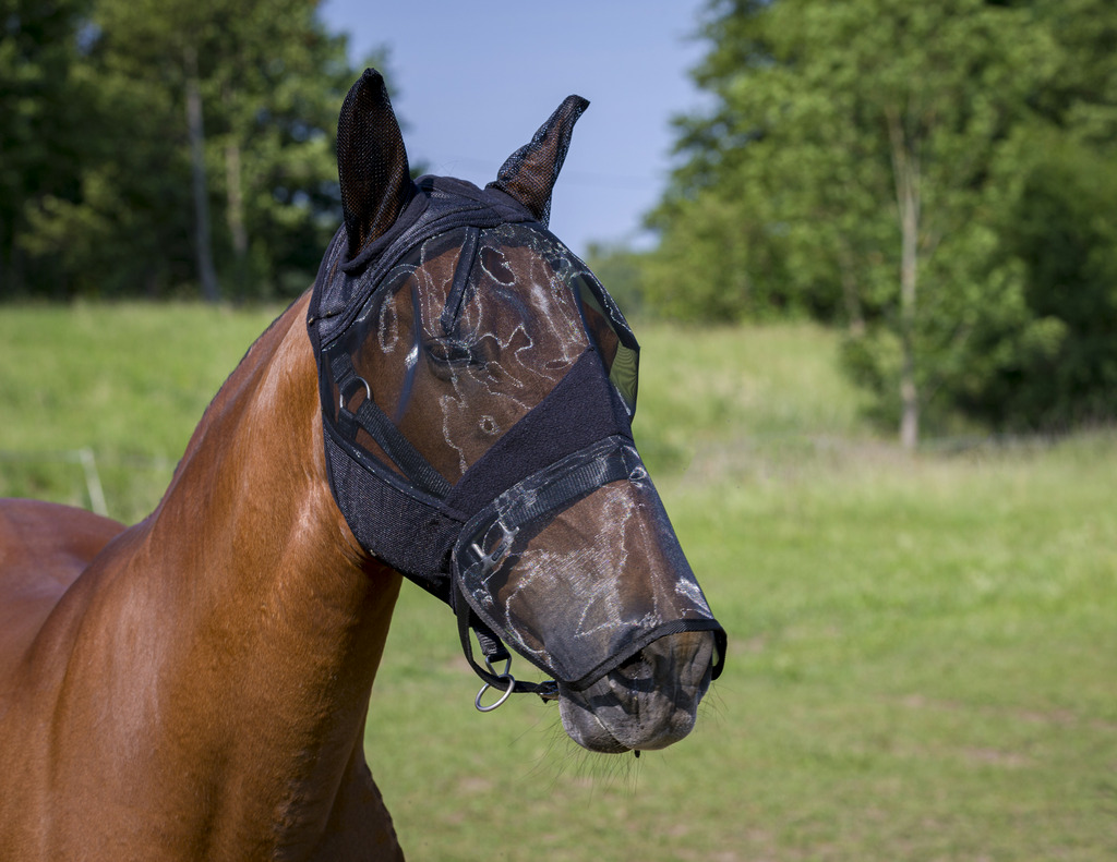 Masque anti-mouches EQUITHÈME 2en1