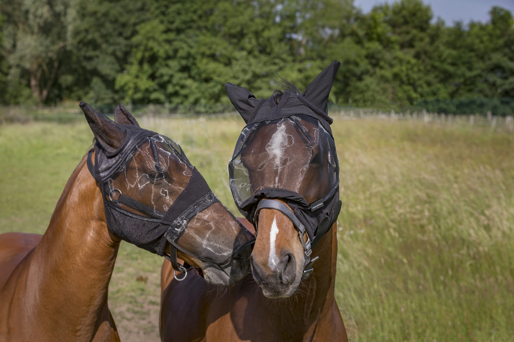 Masque anti-mouches EQUITHÈME 2en1