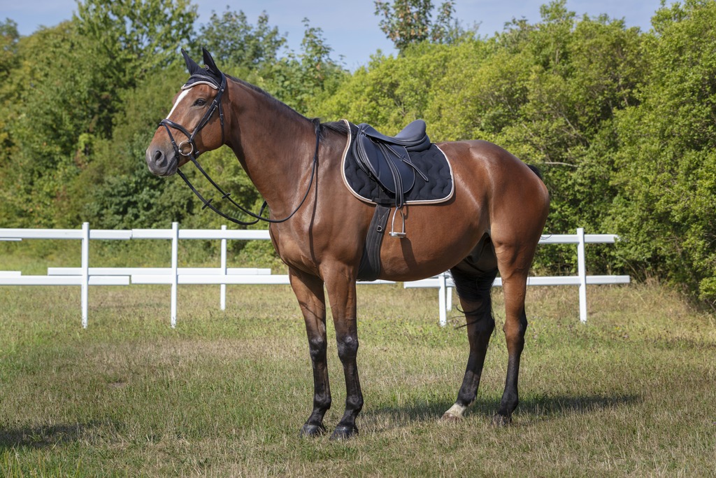 Bonnet chasse-mouches EQUITHÈME "Polyfun"