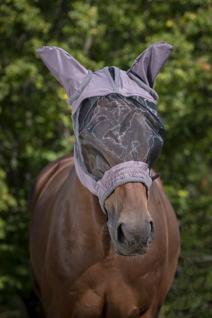 Masque anti-mouches EQUITHÈME "Doux"