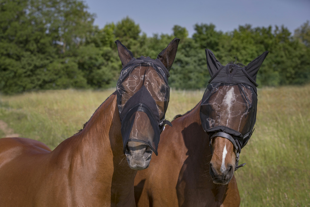 Masque anti-mouches EQUITHÈME "Doux"