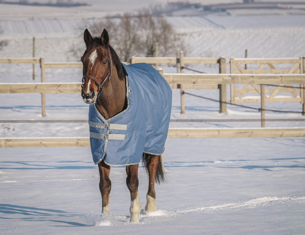 Couverture EQUITHÈME "TYREX 600D", 300G, recyclée