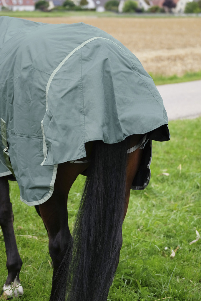 Couverture EQUITHÈME "TYREX 600D", 300G, recyclée