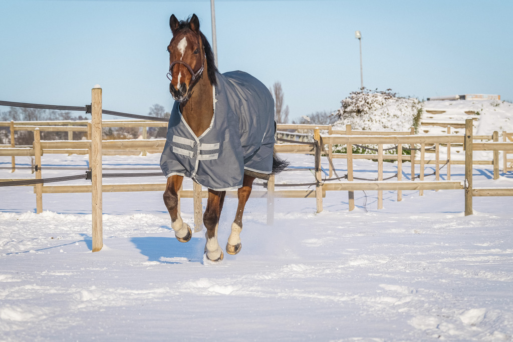 Couverture EQUITHÈME "TYREX 600D", 300G, recyclée