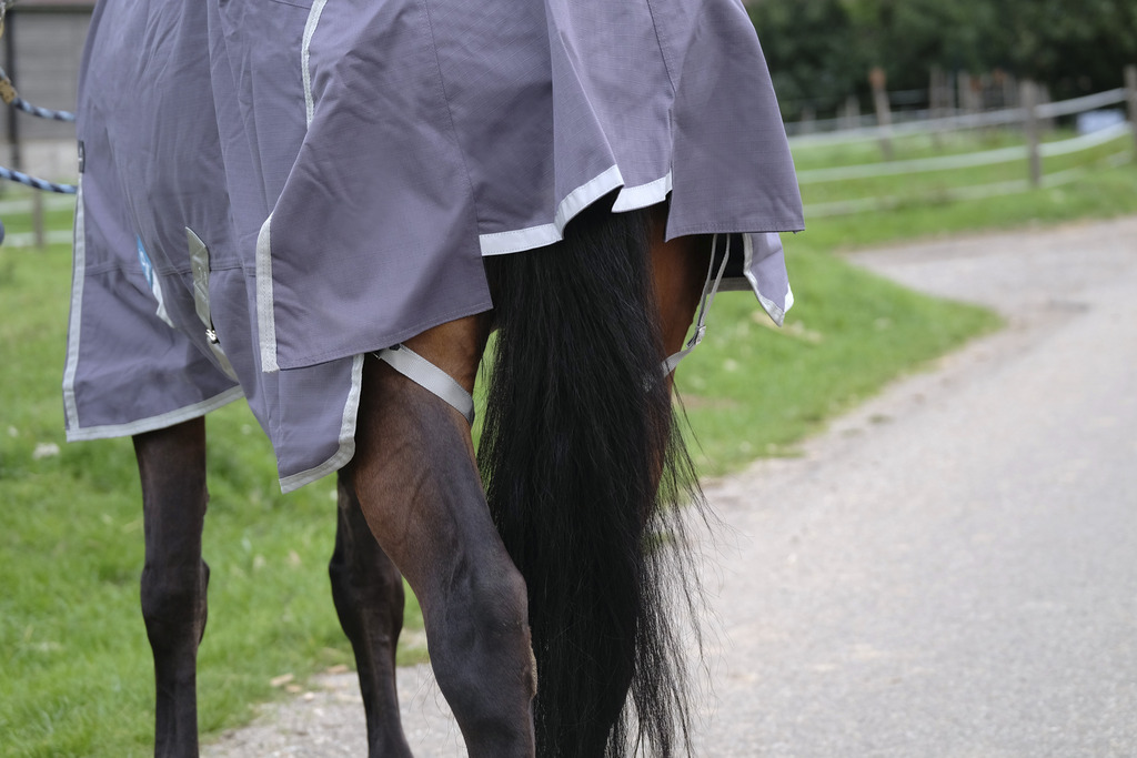 Couverture EQUITHÈME "TYREX 1200D", 50G, recyclée