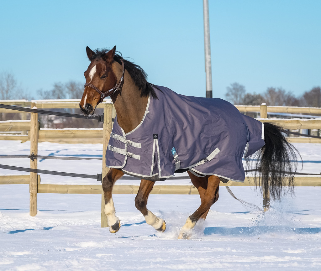 Couverture EQUITHÈME "TYREX 1200D", 50G, recyclée