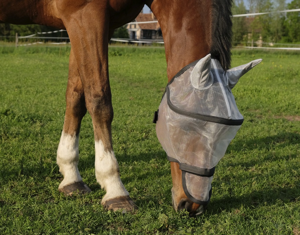 Masque anti-mouches EQUITHÈME “Protec”