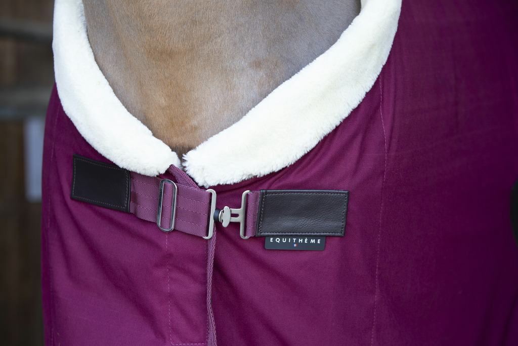 Chemise séchante EQUITHÈME "Teddy"