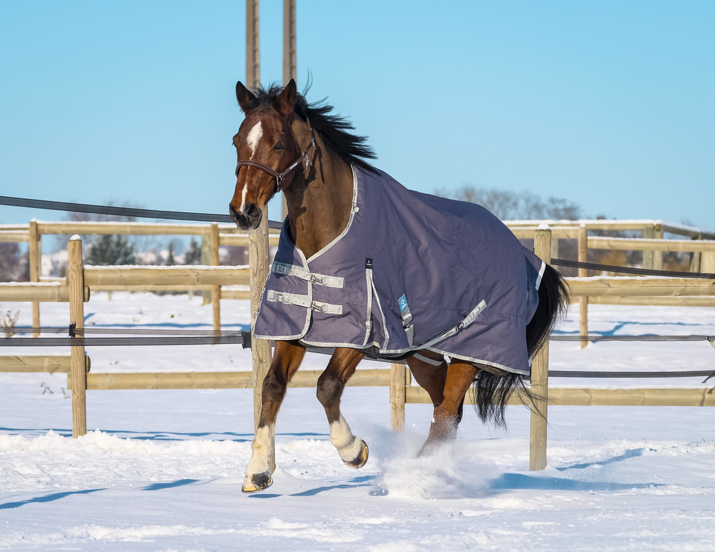 Couverture EQUITHÈME "TYREX 1200D", 150G, recyclée