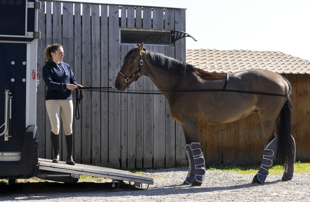 Enrênement d'embarquement NORTON