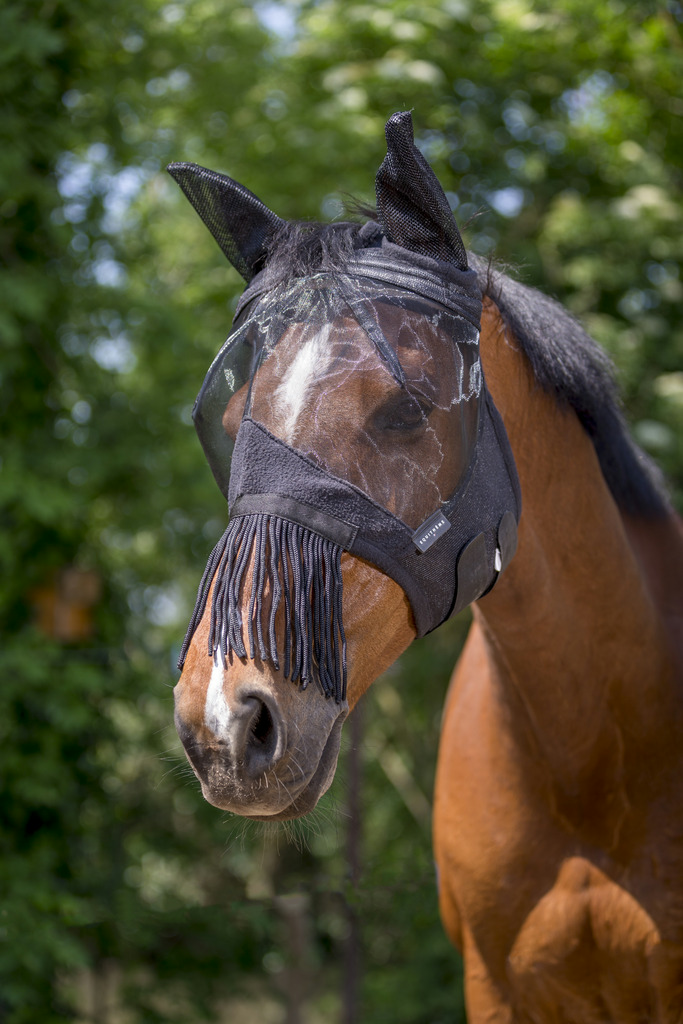 Masque anti-mouches EQUITHÈME "Franges"