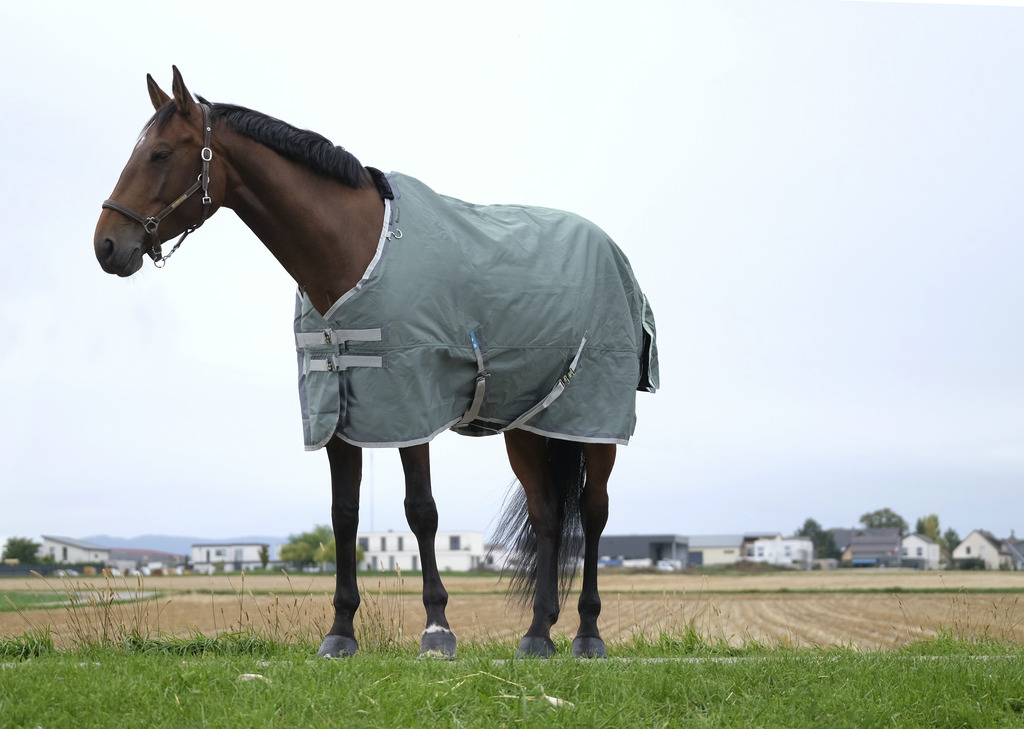 Couverture EQUITHÈME "TYREX 600D", 150G, recyclée