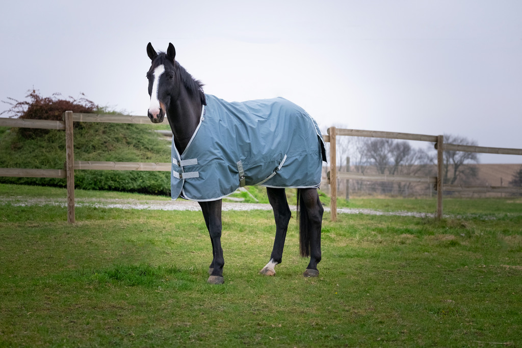 Couverture EQUITHÈME "TYREX 600D", 150G, recyclée