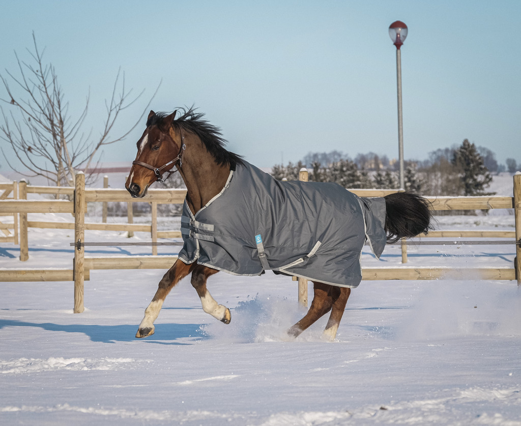 Couverture EQUITHÈME "TYREX 600D", 150G, recyclée