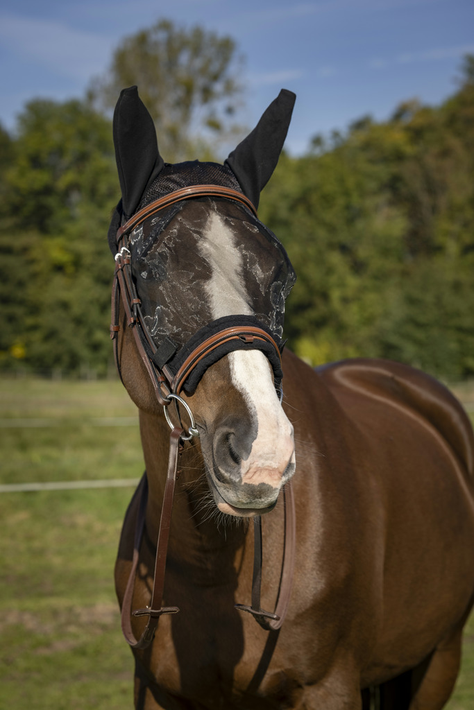 Masque anti-mouches EQUITHÈME "Training"