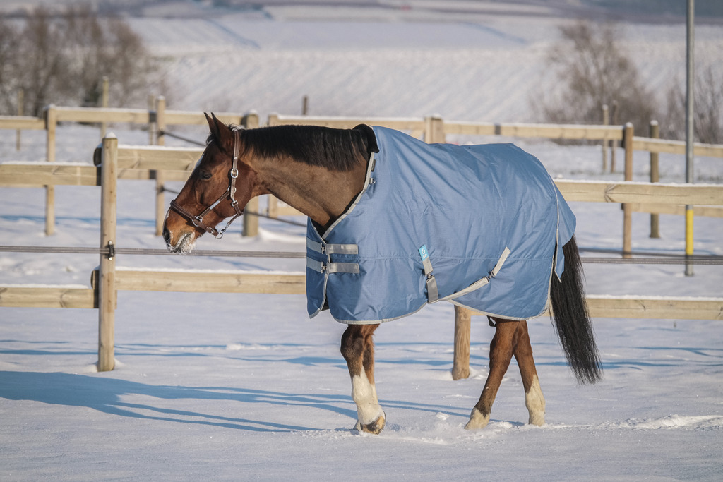 Couverture EQUITHÈME "TYREX 600D", 50G, recyclée