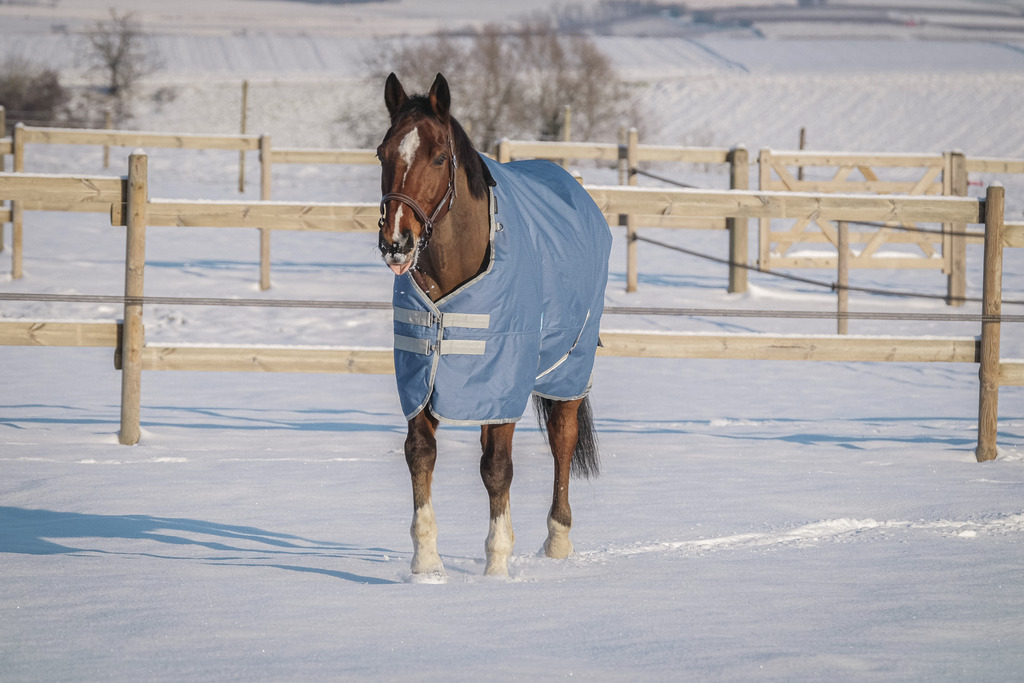 Couverture EQUITHÈME "TYREX 600D", 50G, recyclée