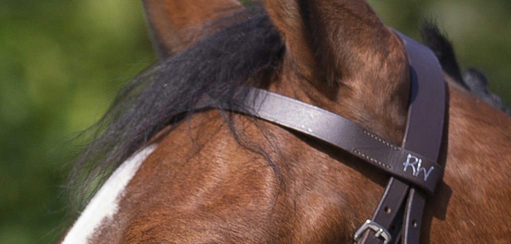 Bridon RIDING WORLD "Muserolle française"