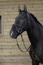 Bridon RIDING WORLD "Muserolle combinée"