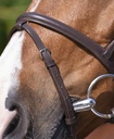 Bridon RIDING WORLD "Muserolle combinée"