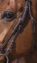 Bridon RIDING WORLD "Muserolle combinée"