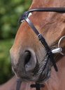Bridon RIDING WORLD "Muserolle croisée"