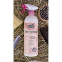 Easy Shine RAVENE