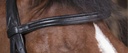 Bridon NORTON PRO "Soft"