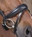 Bridon NORTON PRO "Strass"