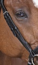 Bridon NORTON PRO "Strass"