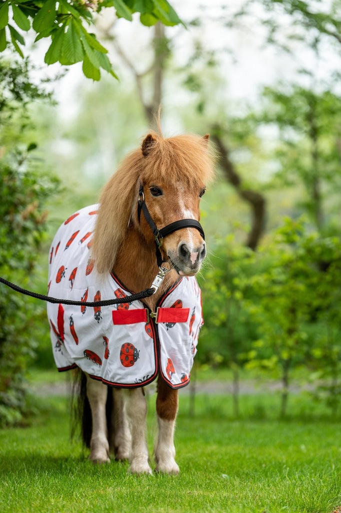 Couverture anti-mouches -Ladyb - Blanc/rouge (3)